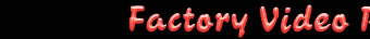 Gay Reality Porn DVD videos