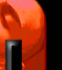 Gay Reality Porn DVD videos